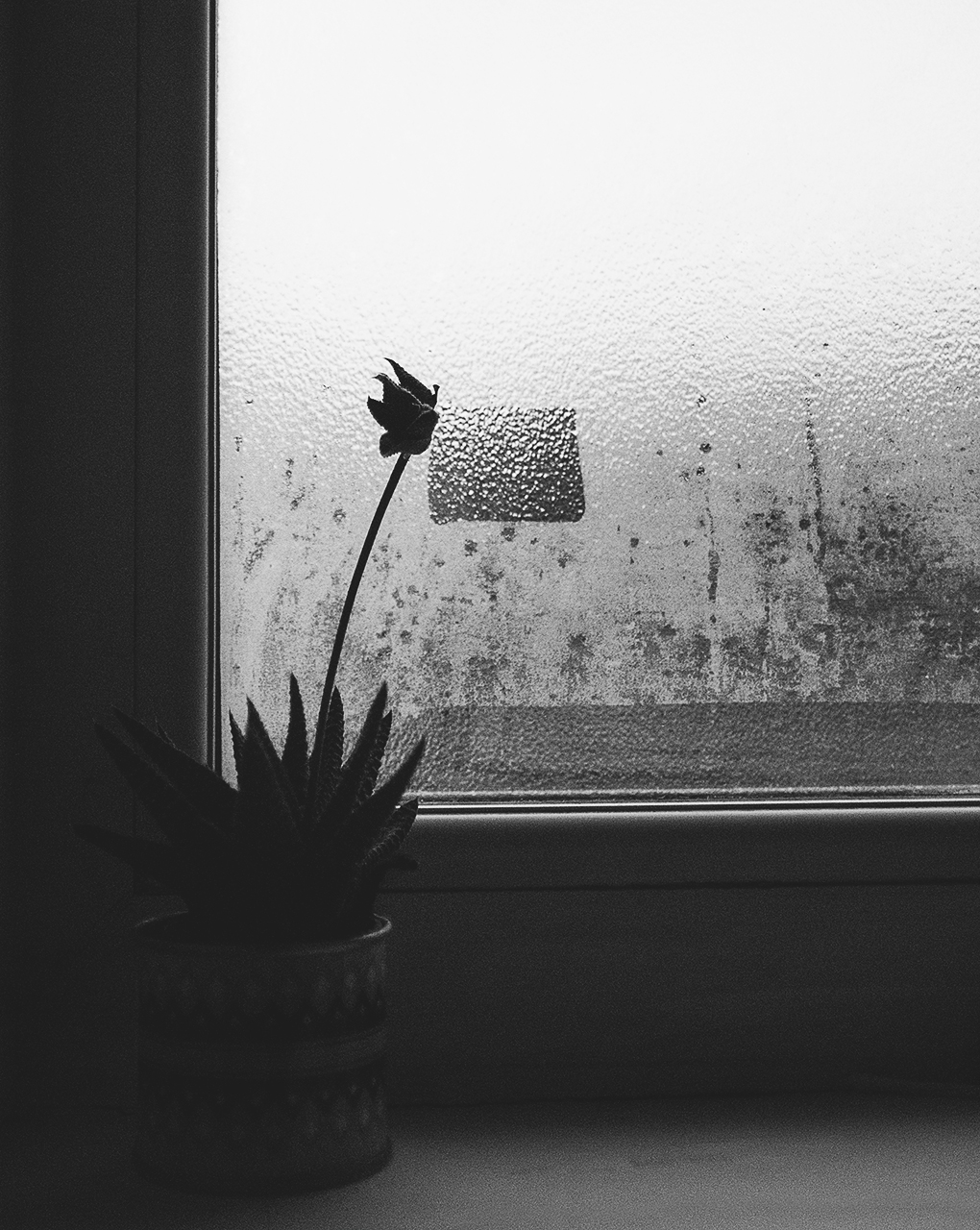 000_0144.jpg