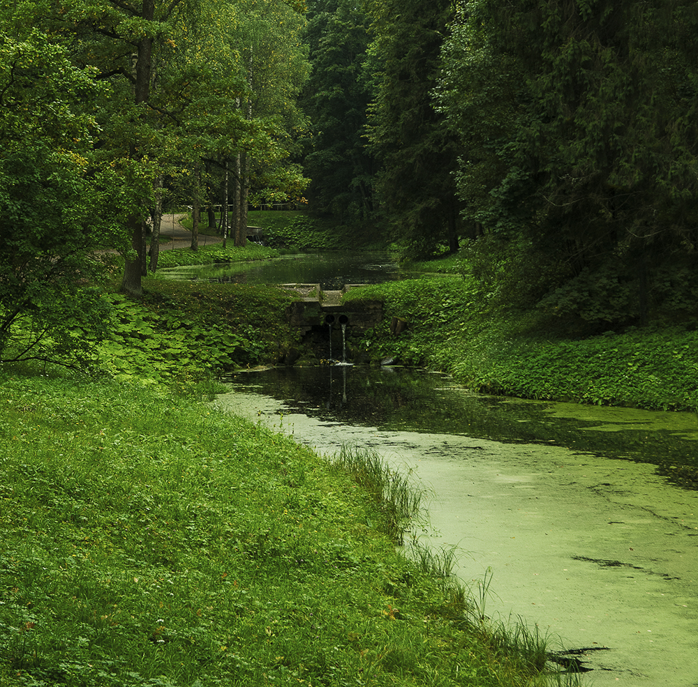 000_02071.jpg