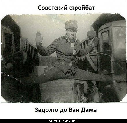 12205321.jpg