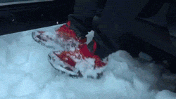 12b50712b507.gif