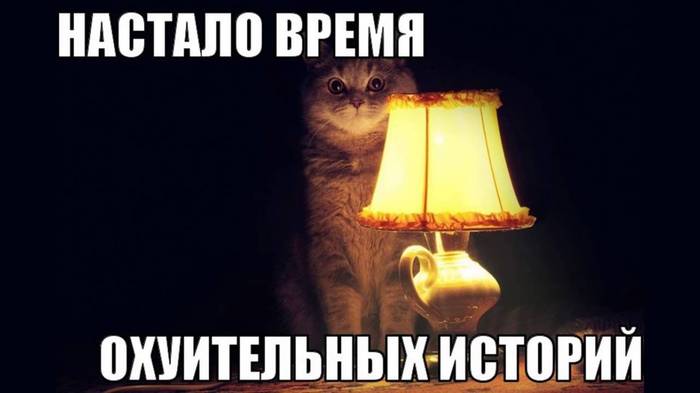 1513759730149593518.jpg