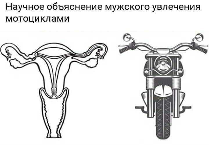 1555492619-426afcc154e037557bd34a844a38c5e9.jpeg