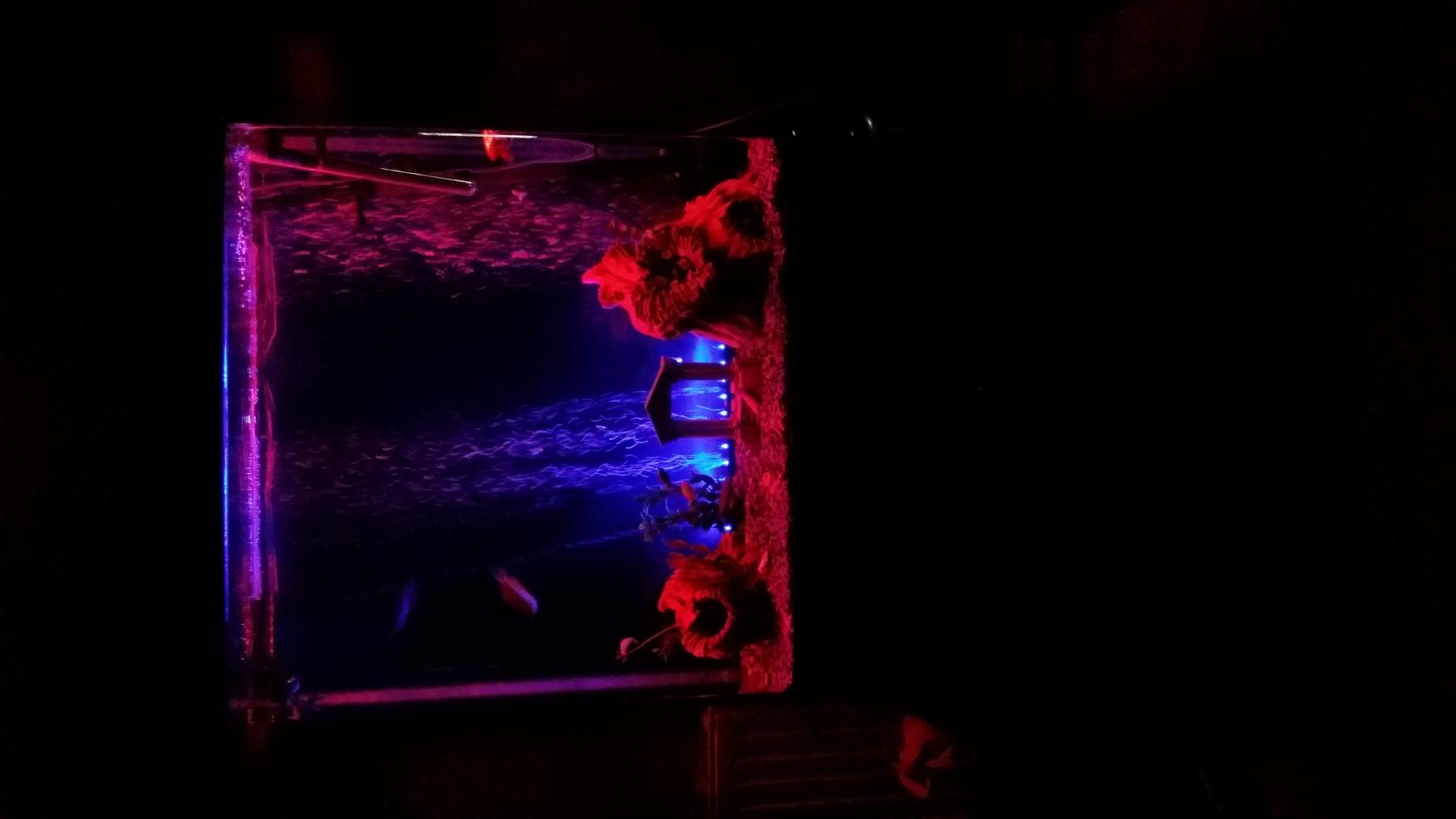 20140110_024907 - 001.jpg