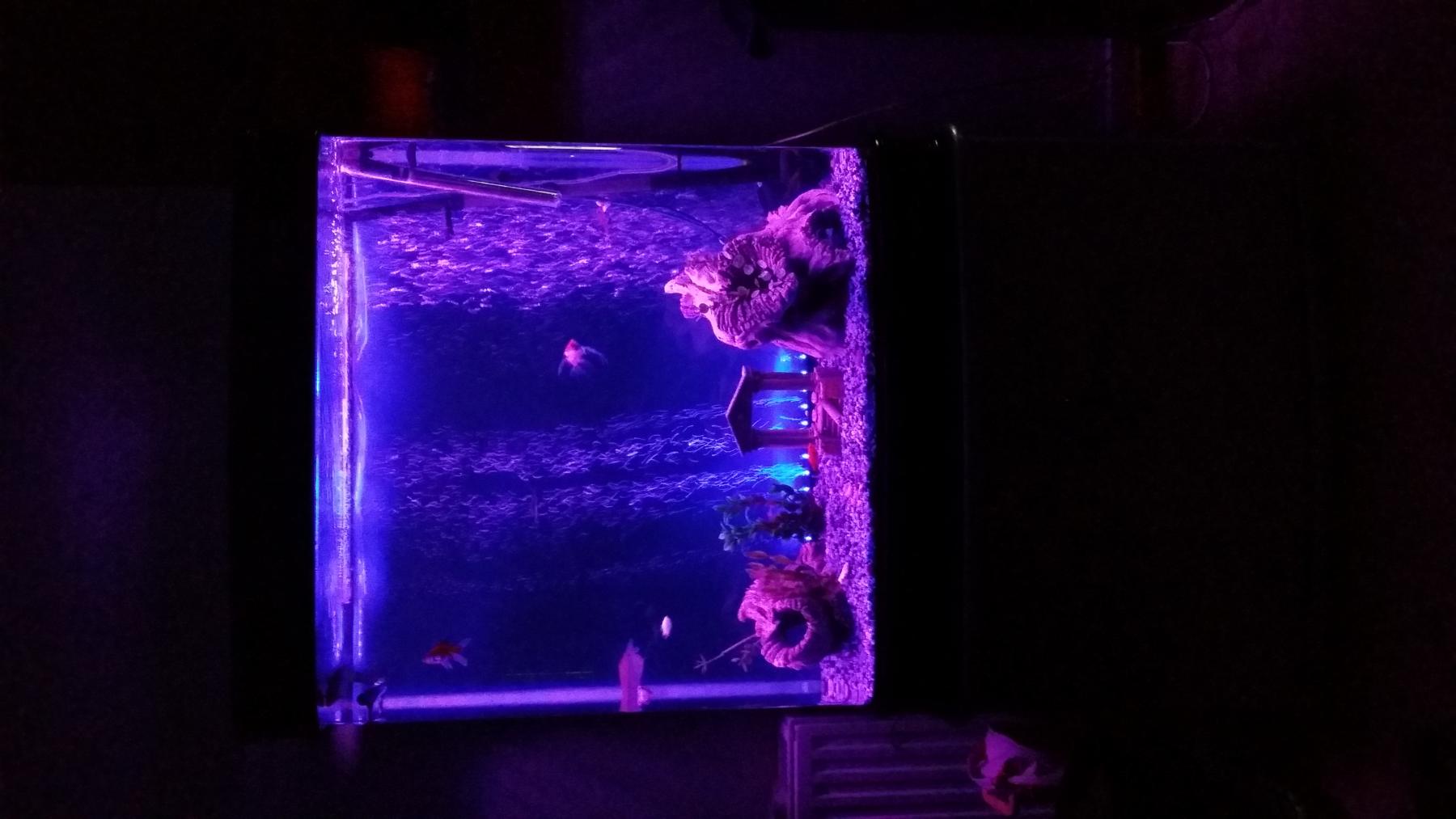 20140110_025309 - 001.jpg