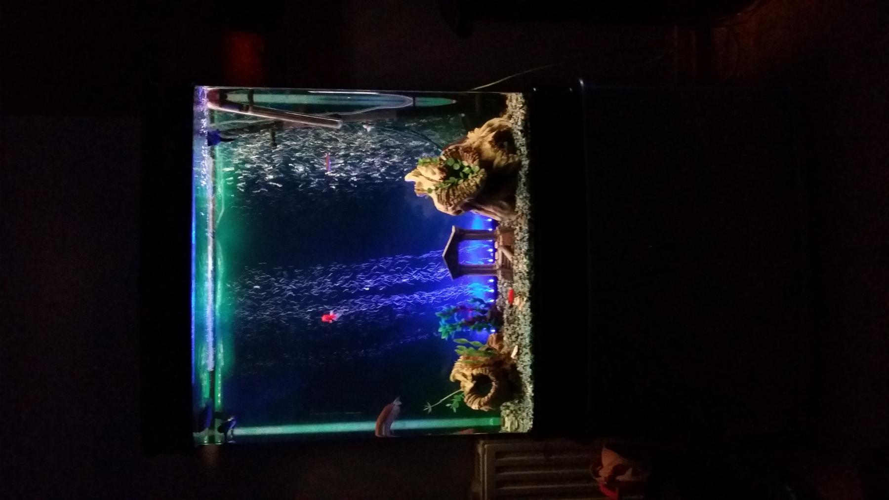 20140110_025326.jpg