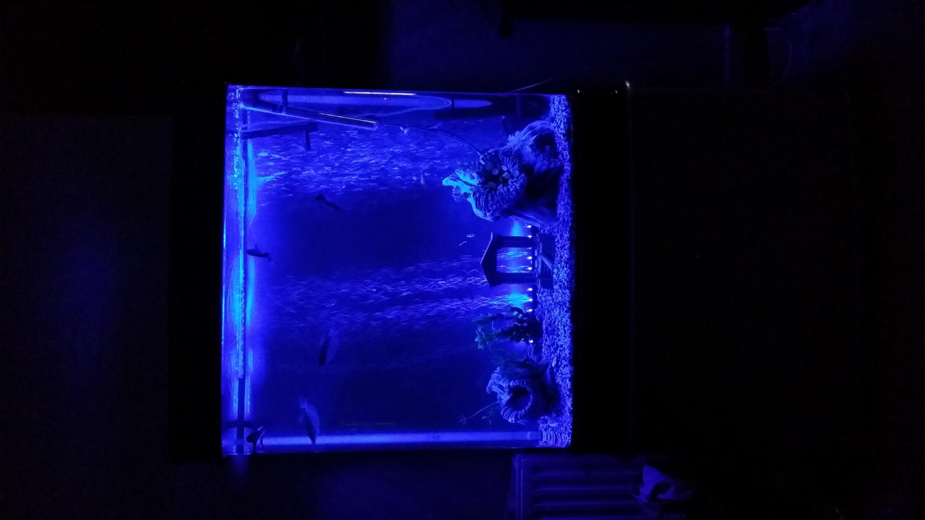 20140110_025452 - 001.jpg