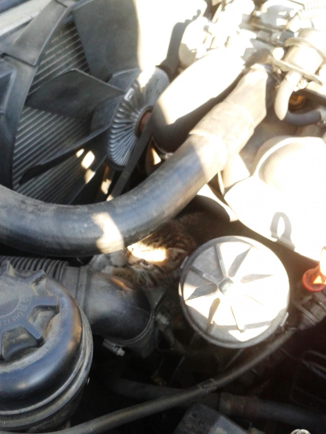 20140915_104738.jpg