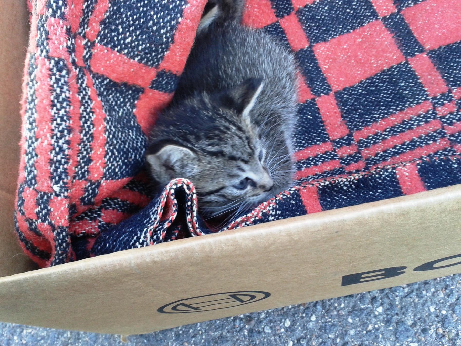 20140915_110515.jpg