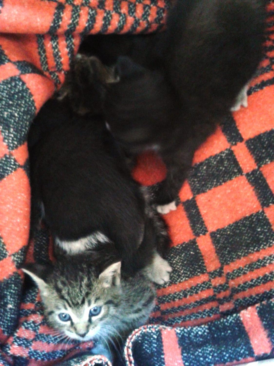 20140915_114431.jpg