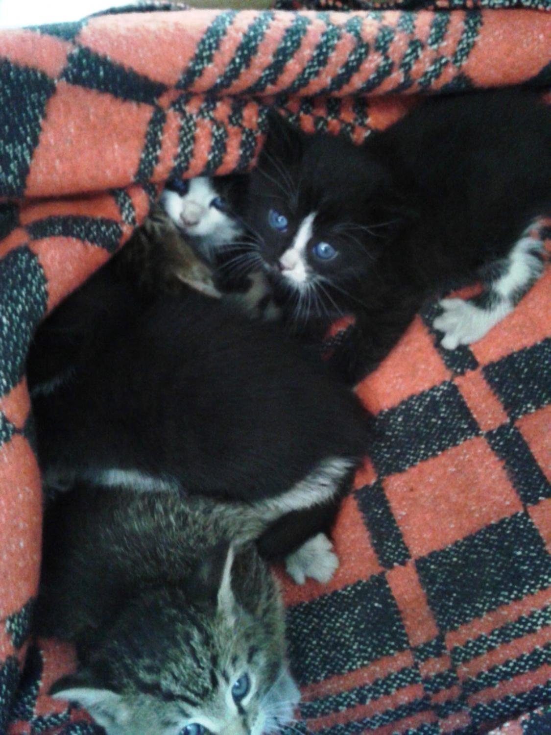 20140915_114507.jpg