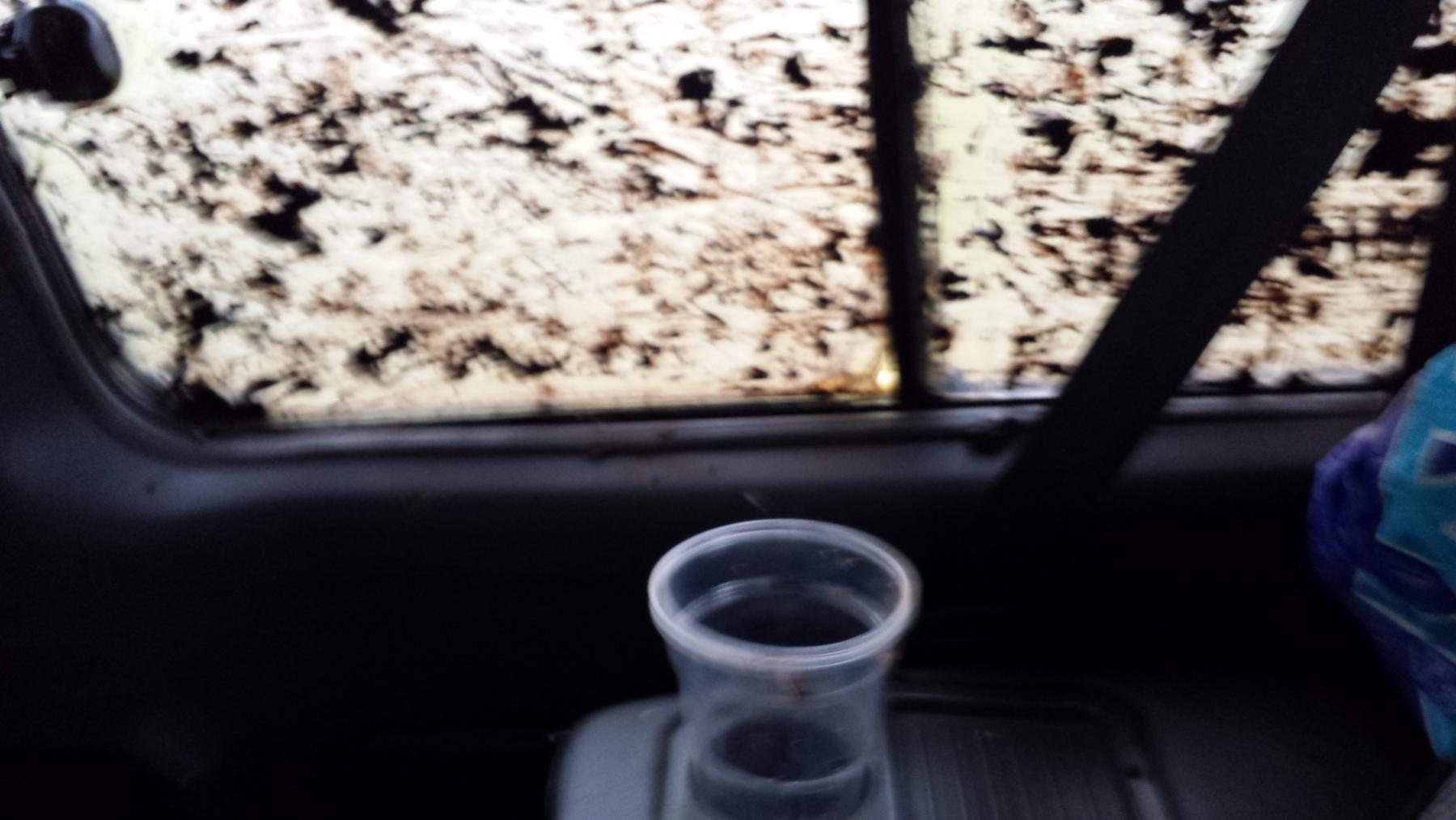 20141108_140100.jpg