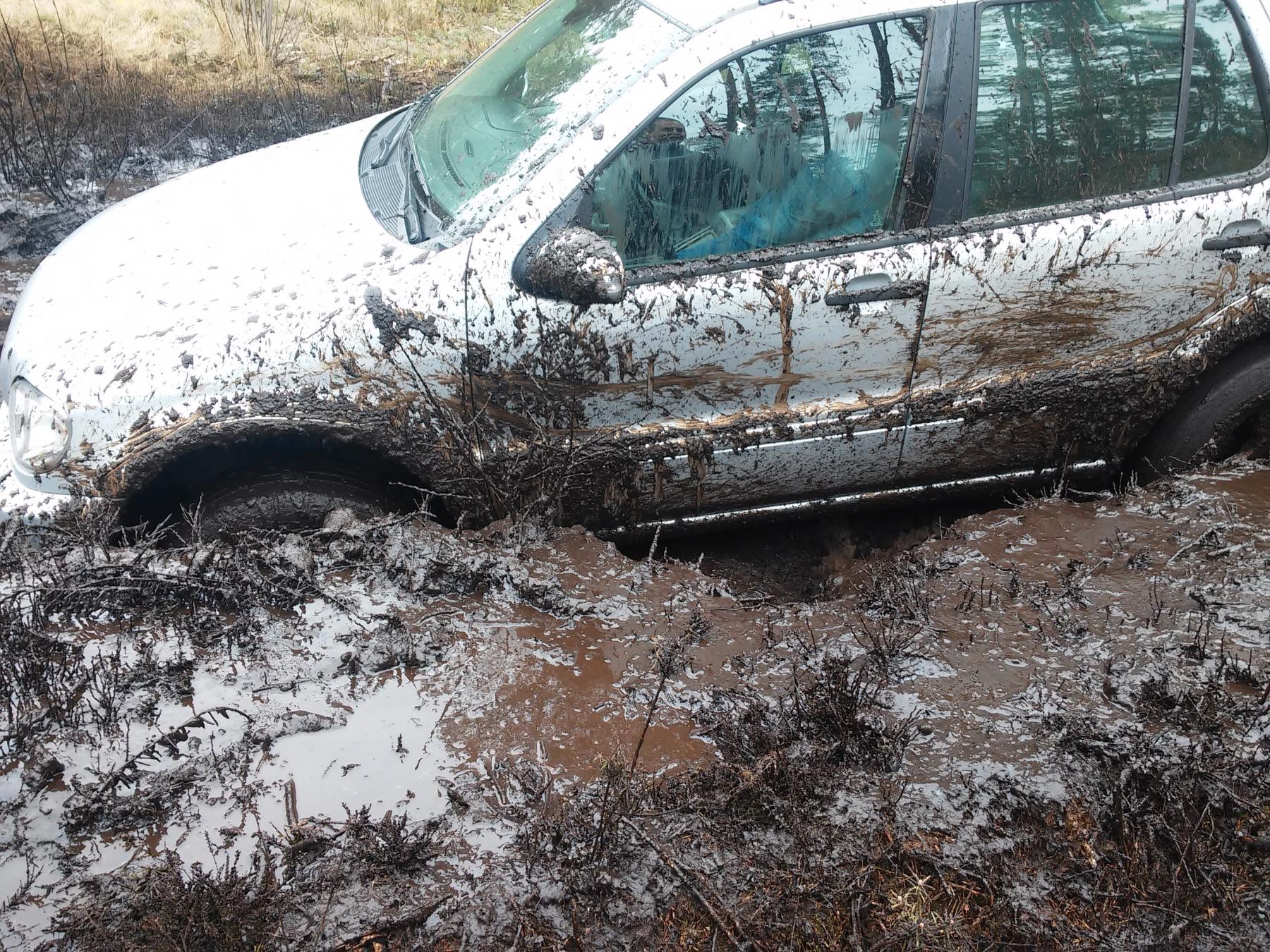 20150419_134520.jpg