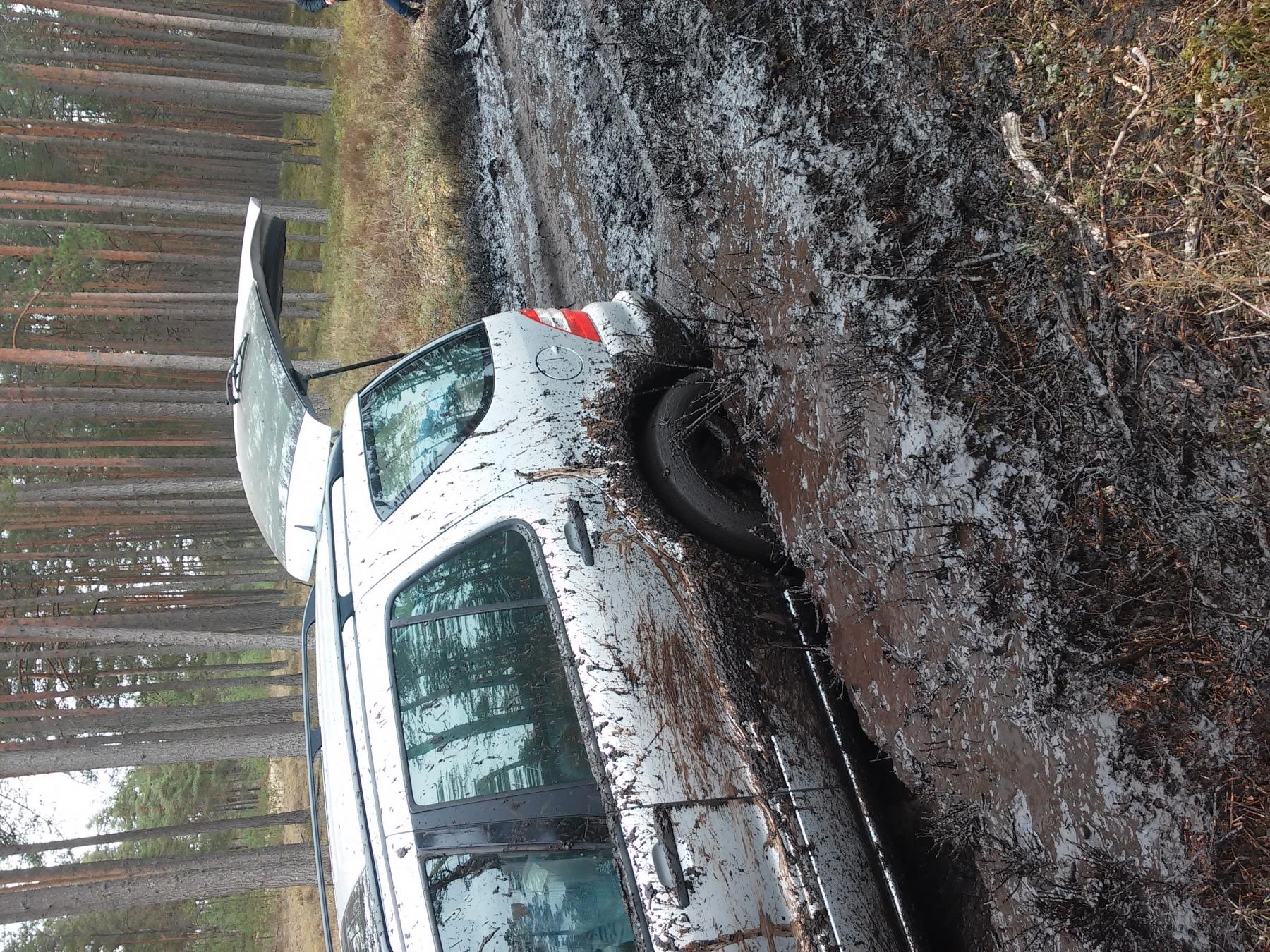 20150419_134551.jpg