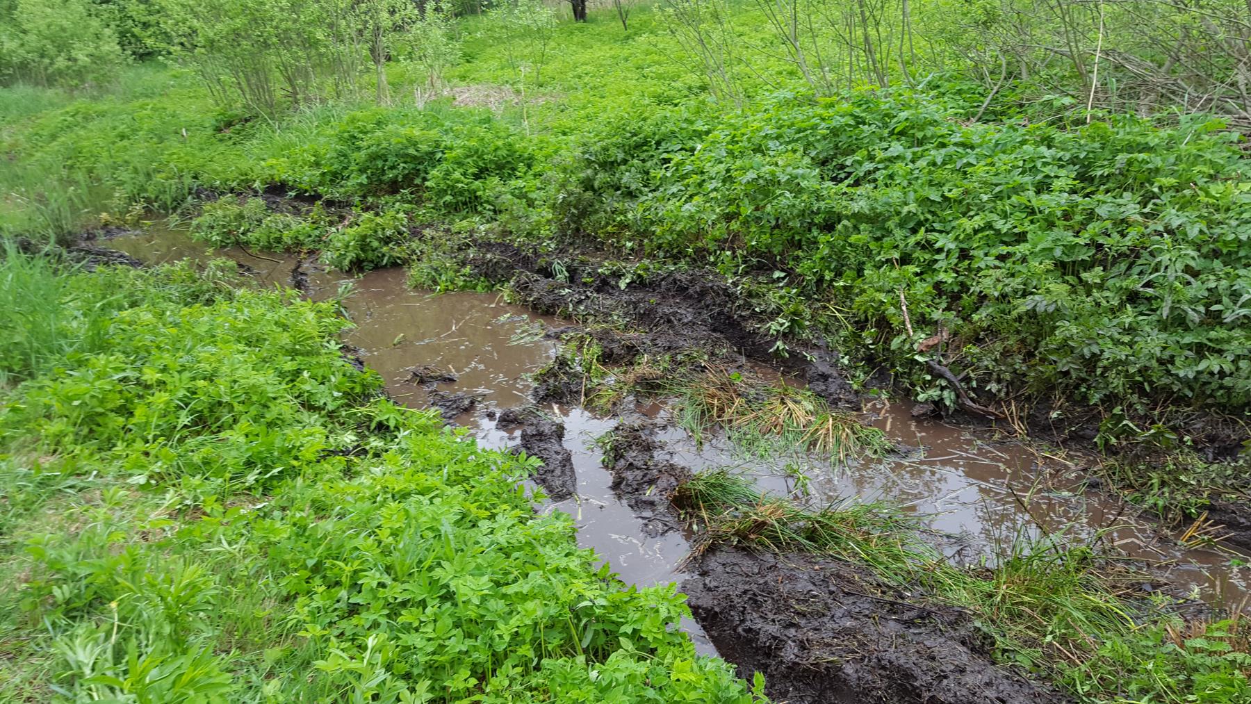 20160515_130052.jpg