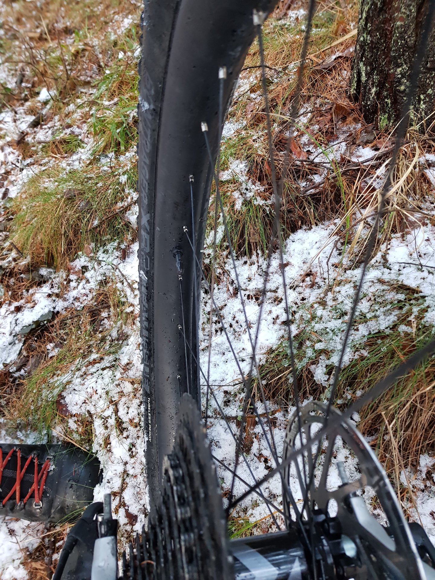 20180130_162342.jpg