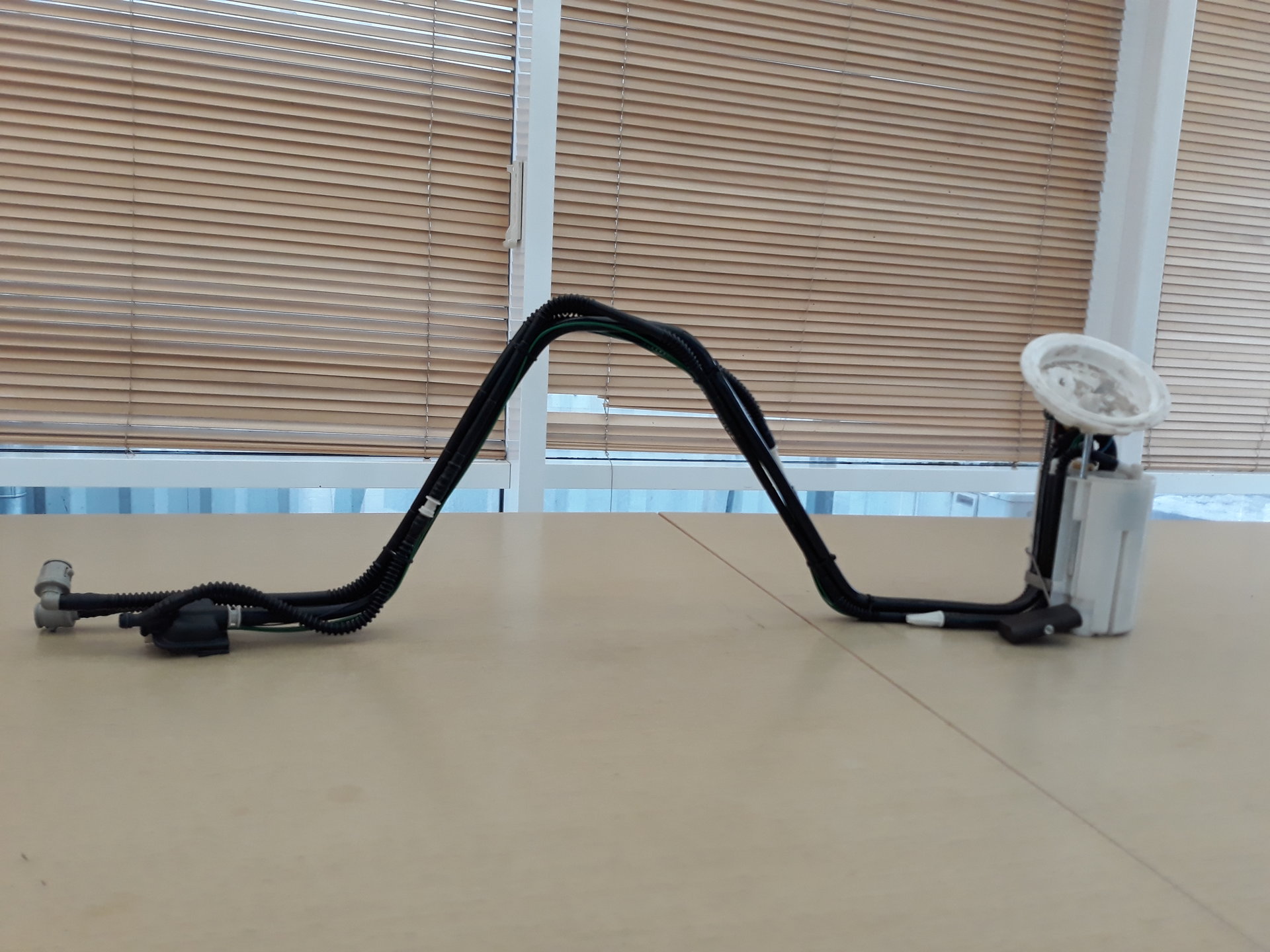 20180219_150122.jpg