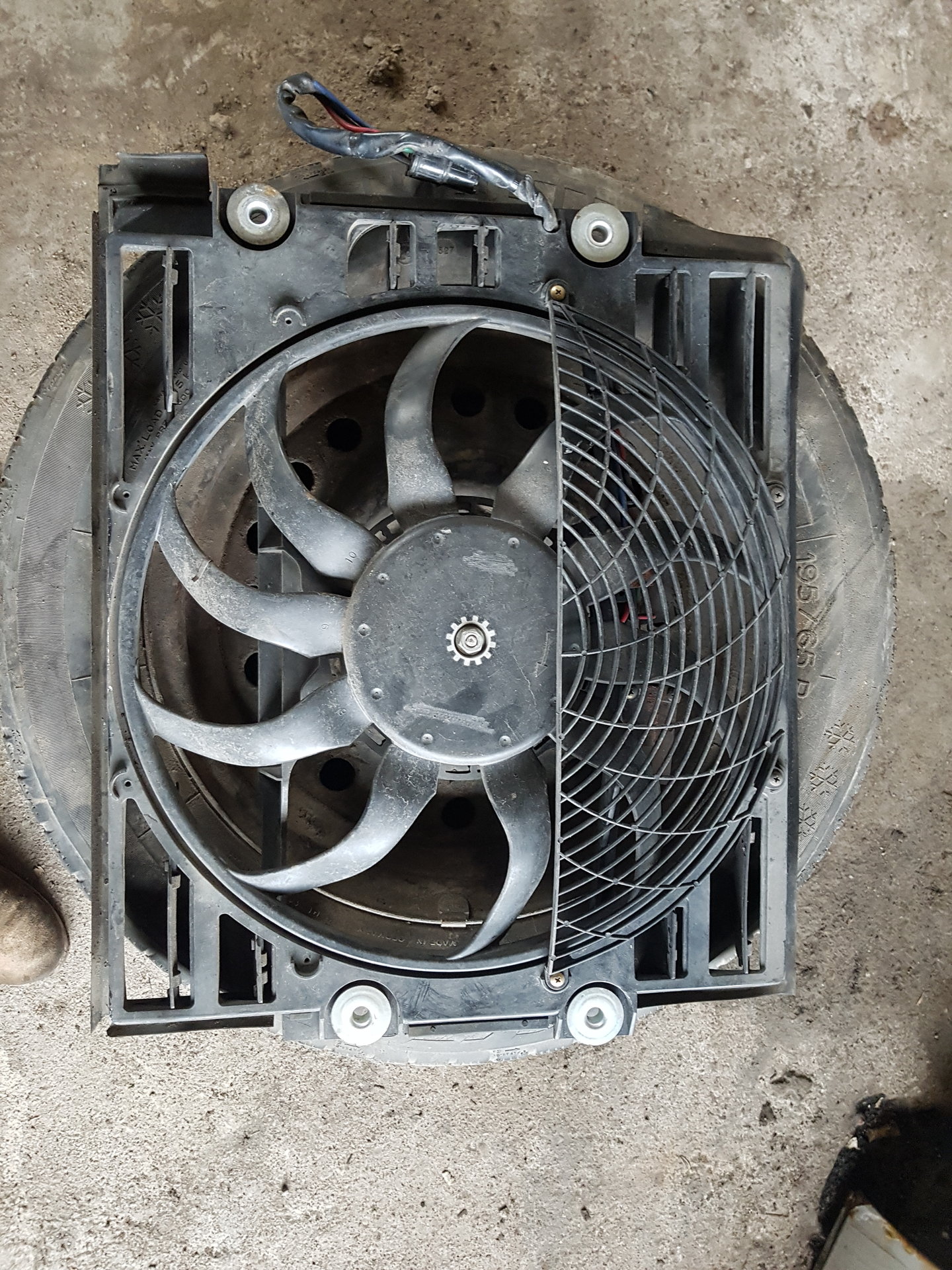20180405_171512.jpg