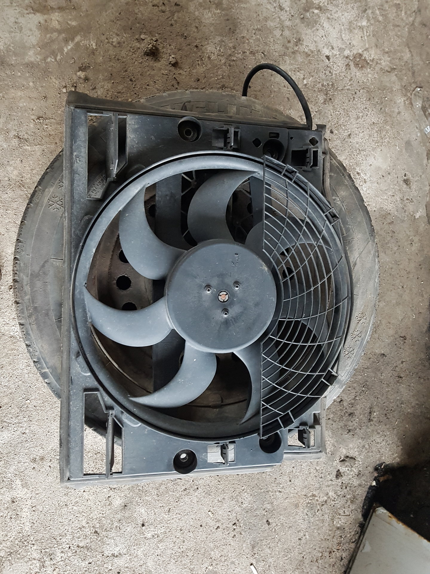 20180405_171552.jpg