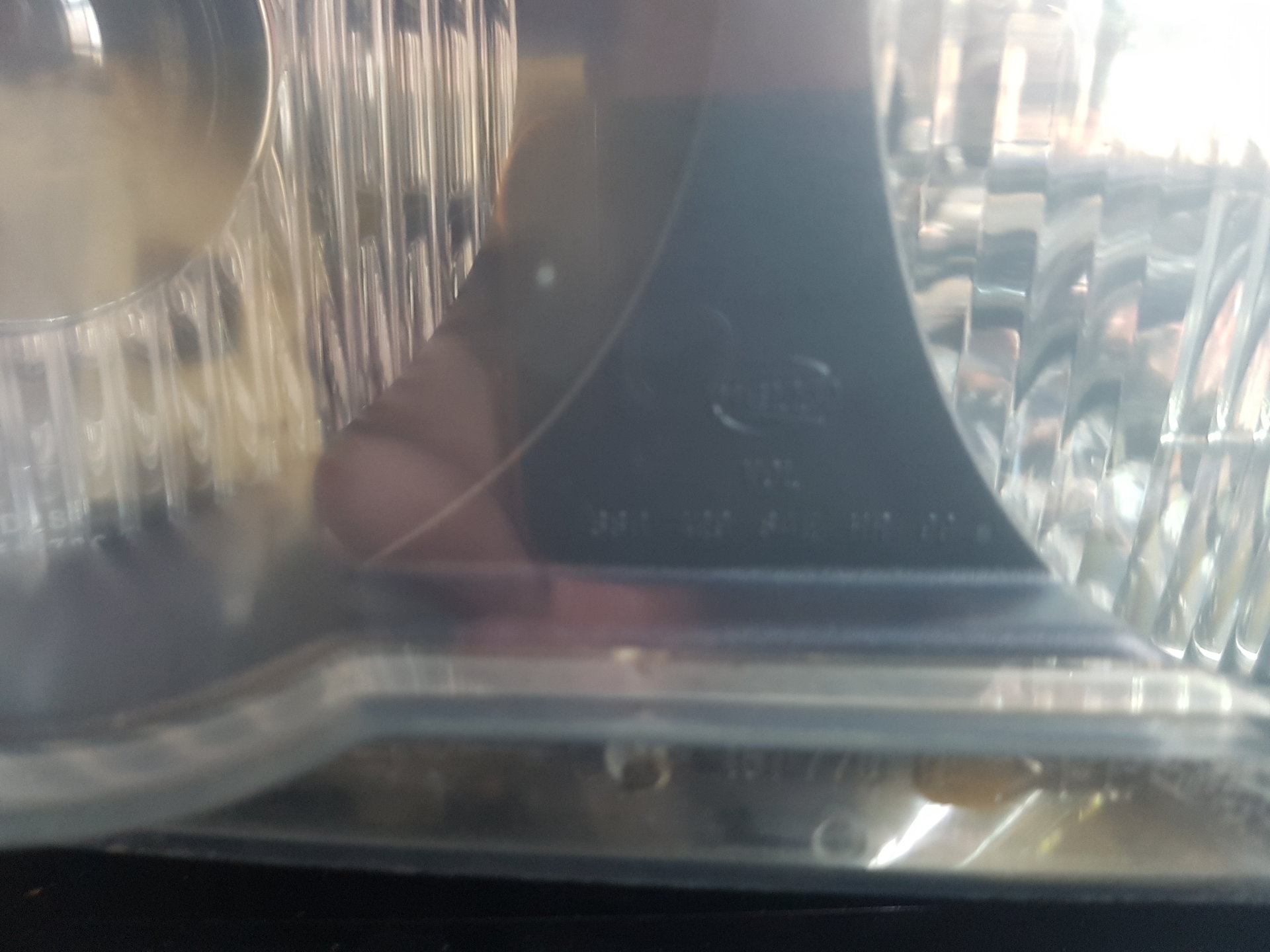 20180413_150627.jpg