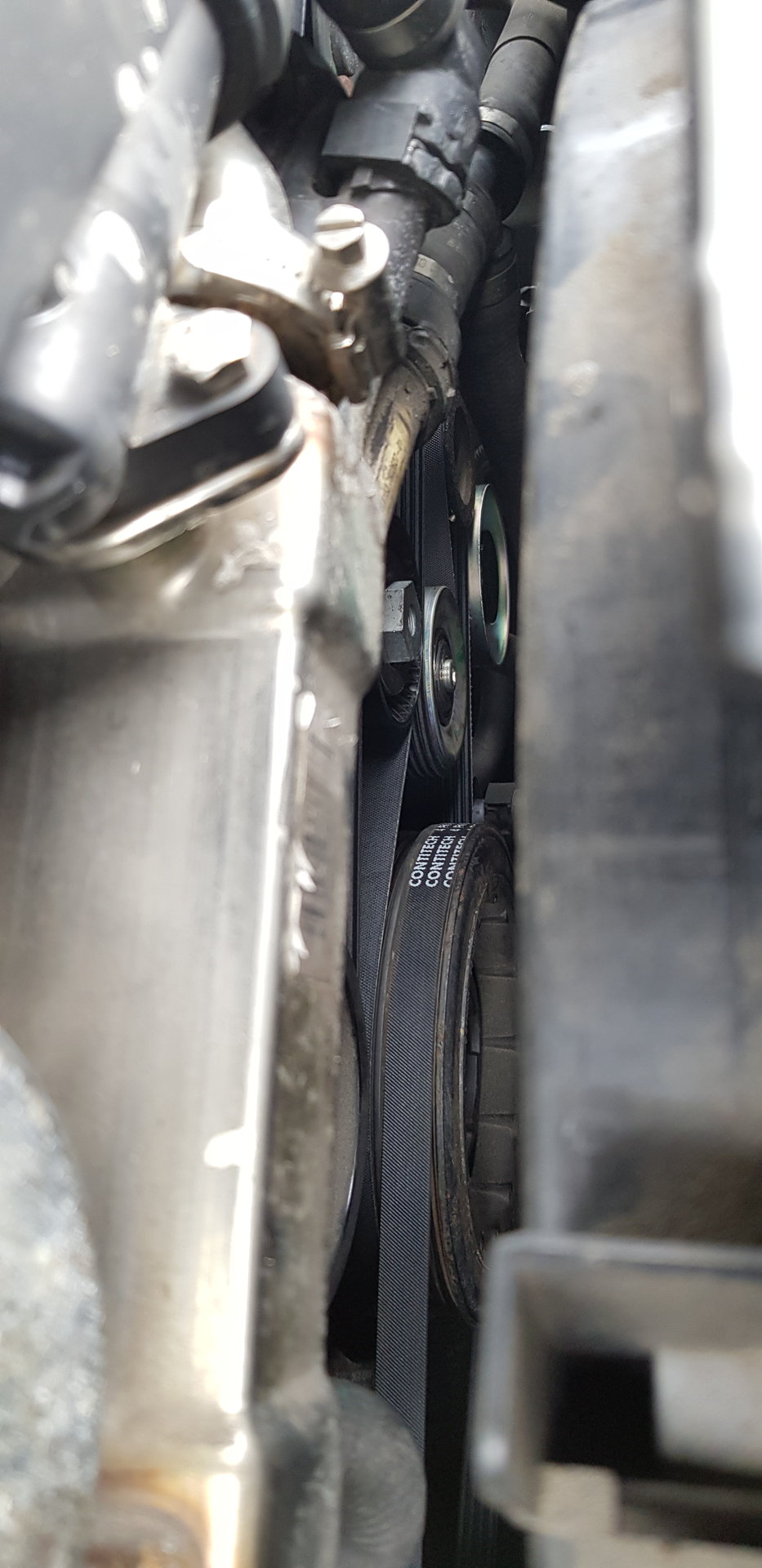 20180428_101237.jpg