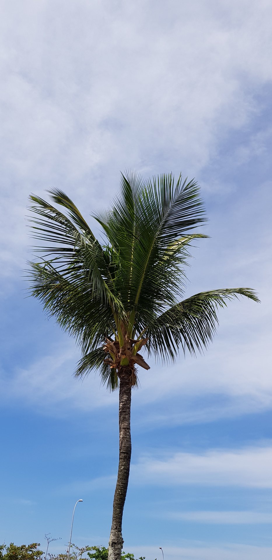 20180805_112614.jpg