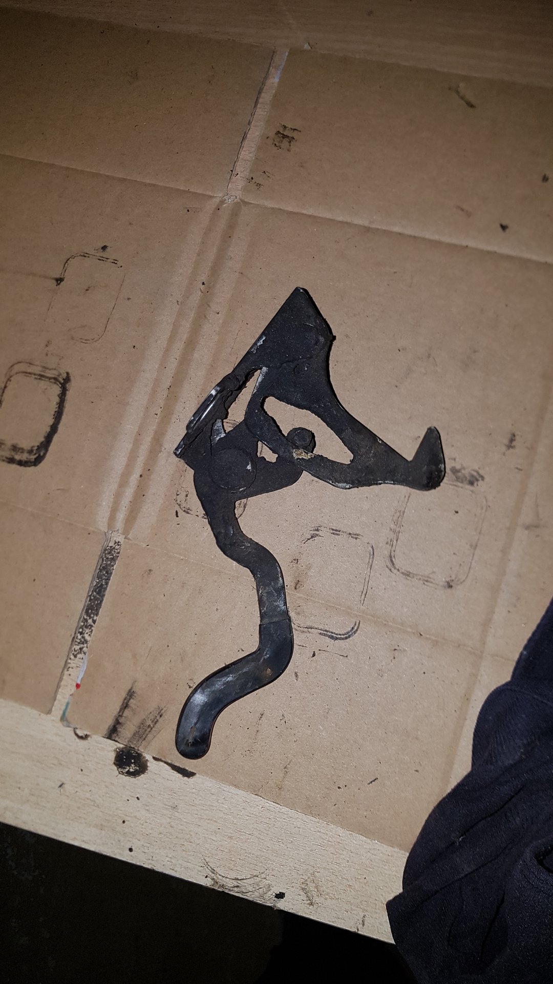 20190523_152911.jpg