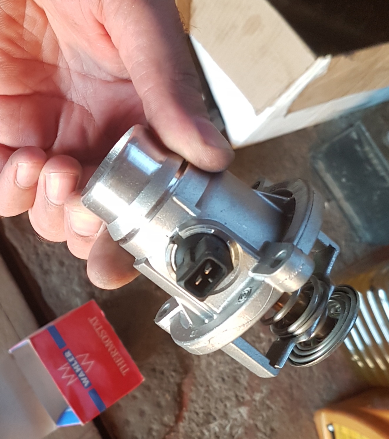 20190604_102205.jpg