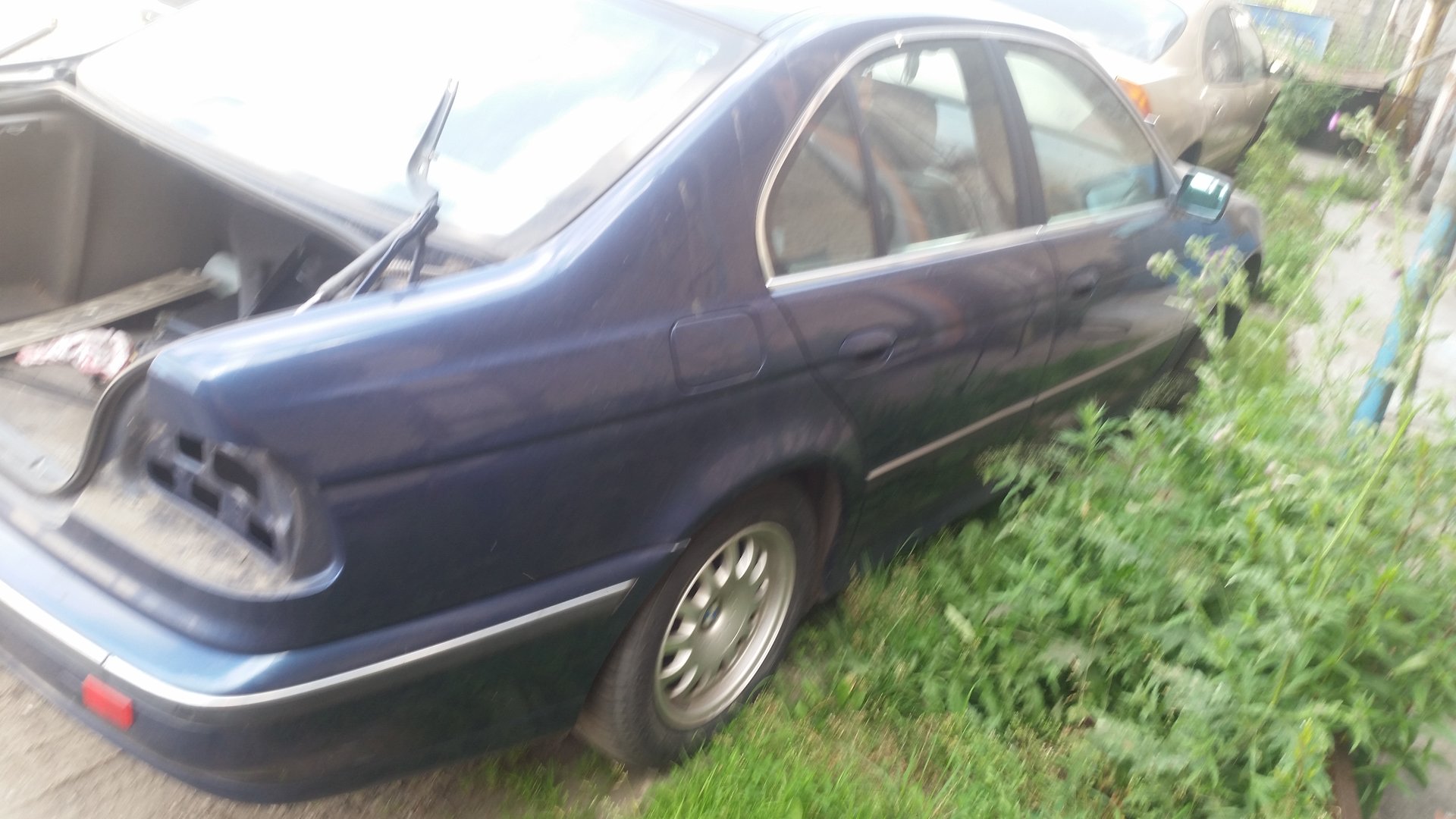20190627_093049.jpg