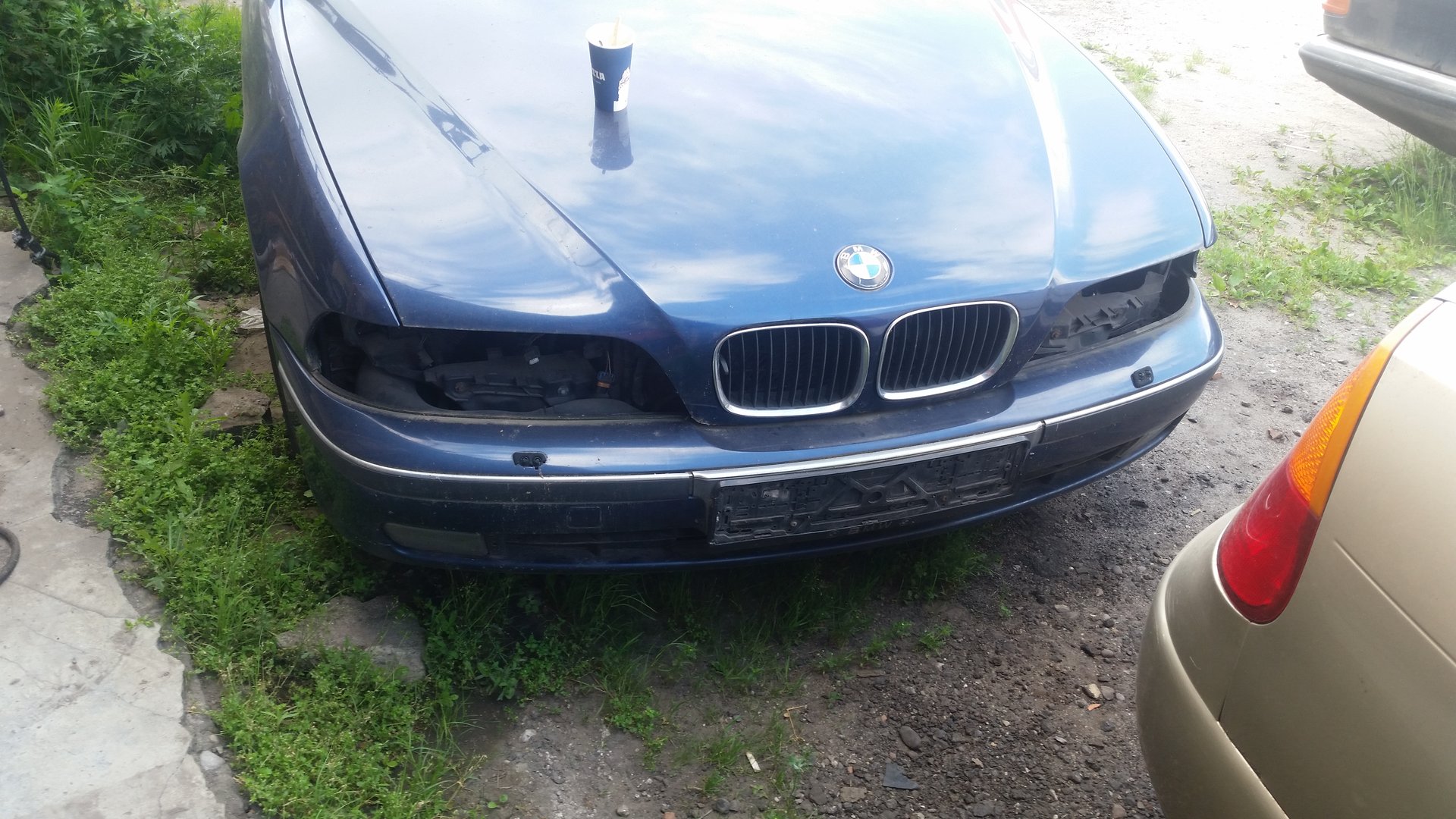 20190627_093107.jpg