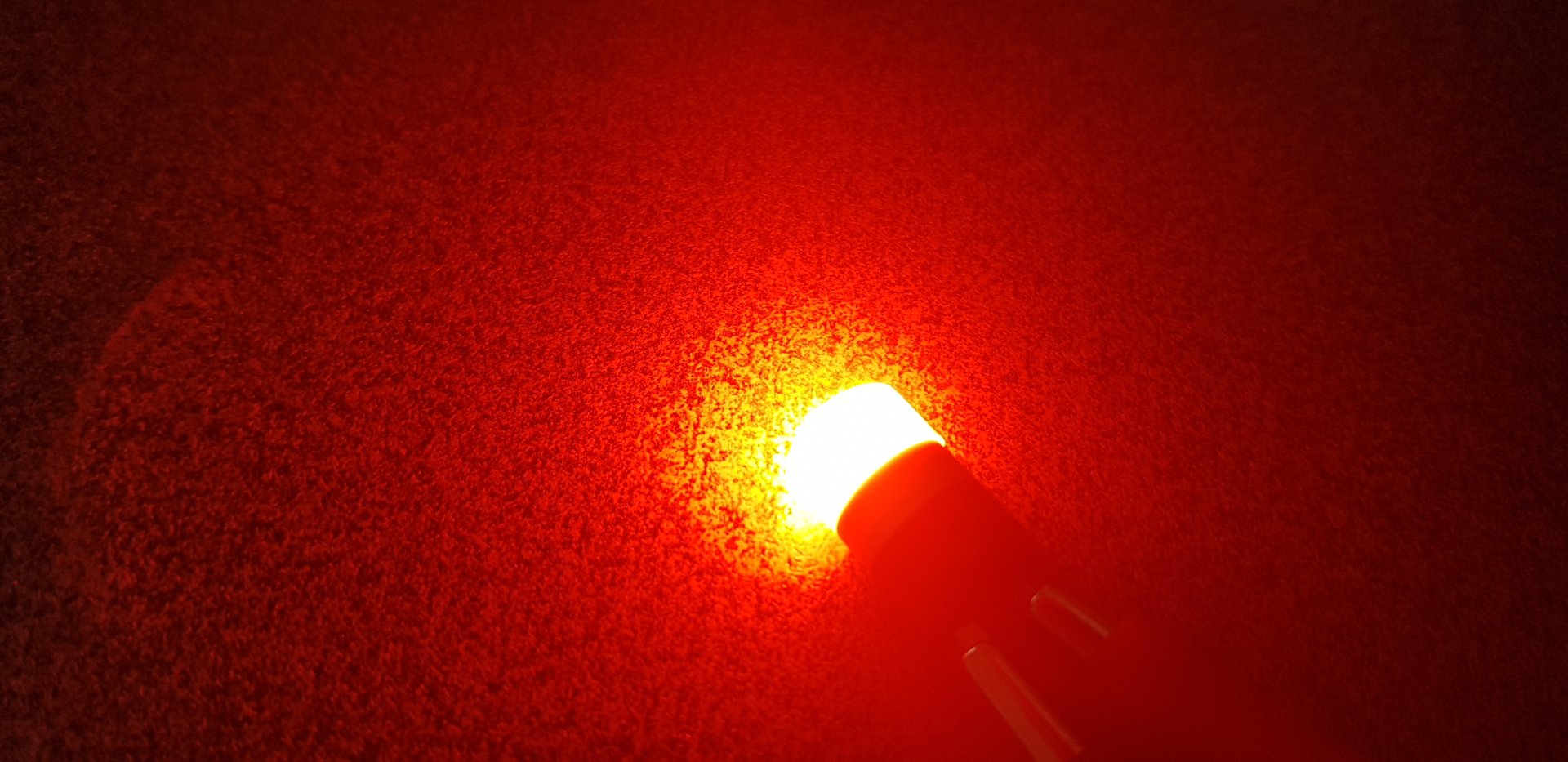 20190815_091340.jpg