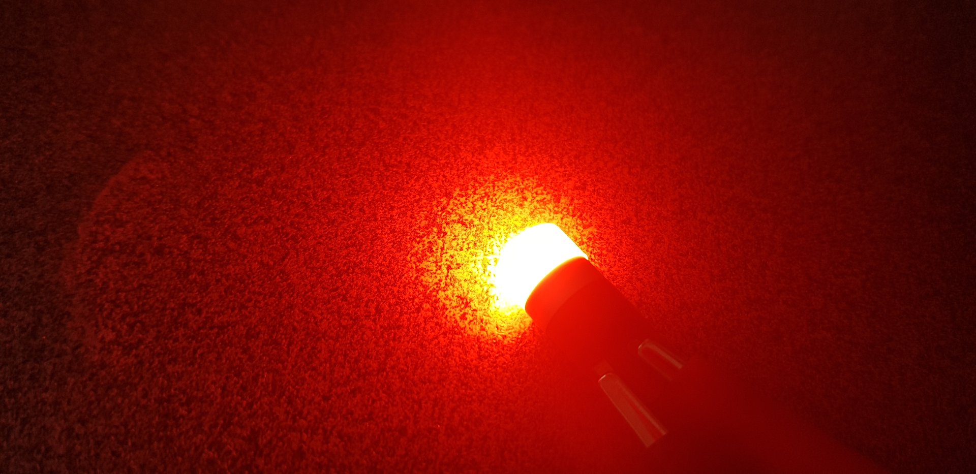 20190815_091341.jpg