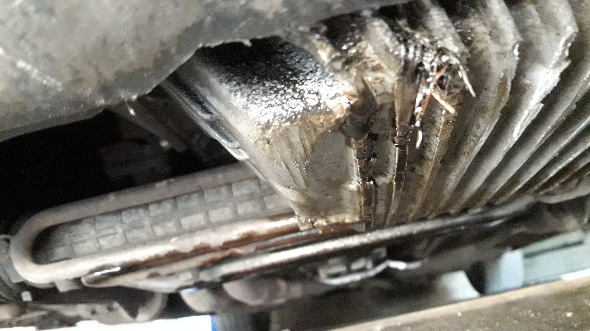 20200806_185849.jpg