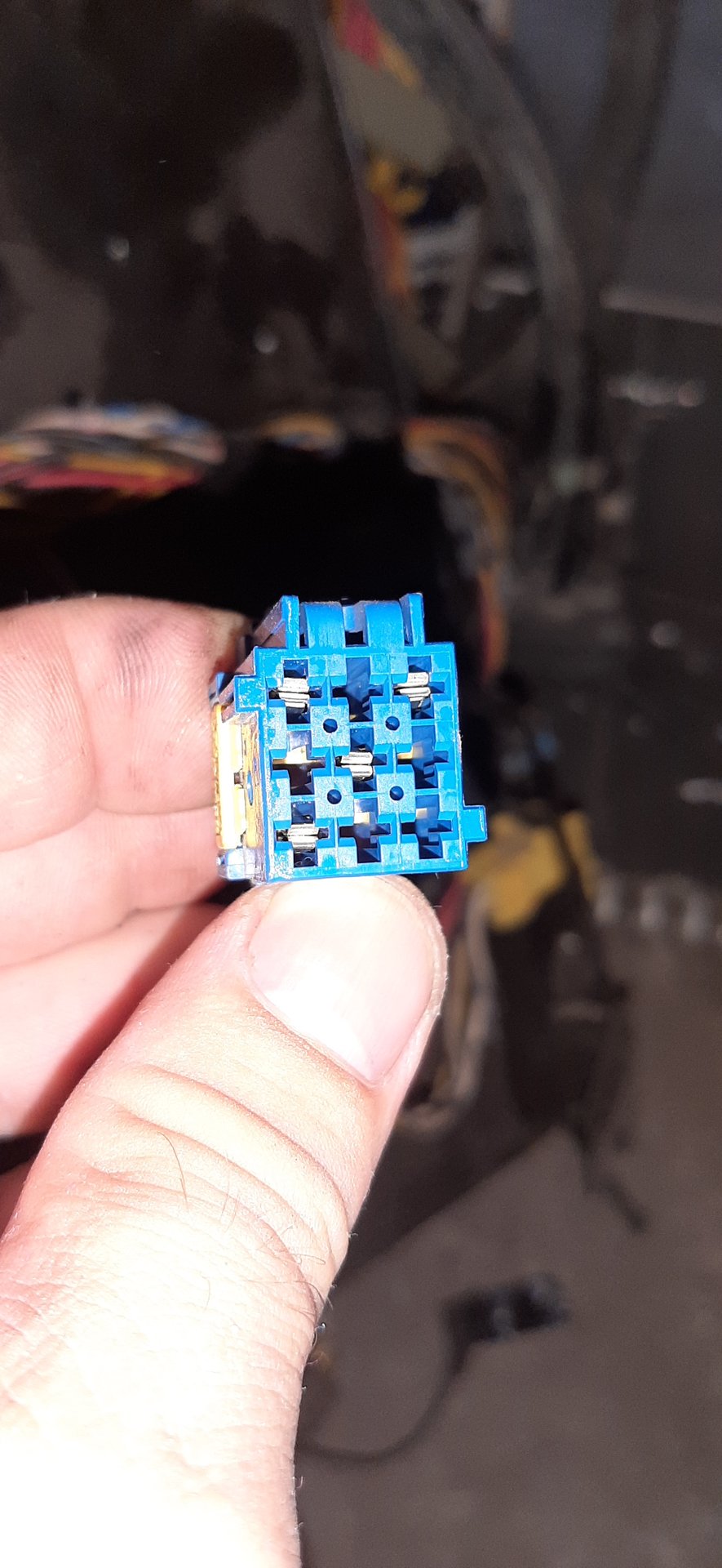 20220722_161114.jpg