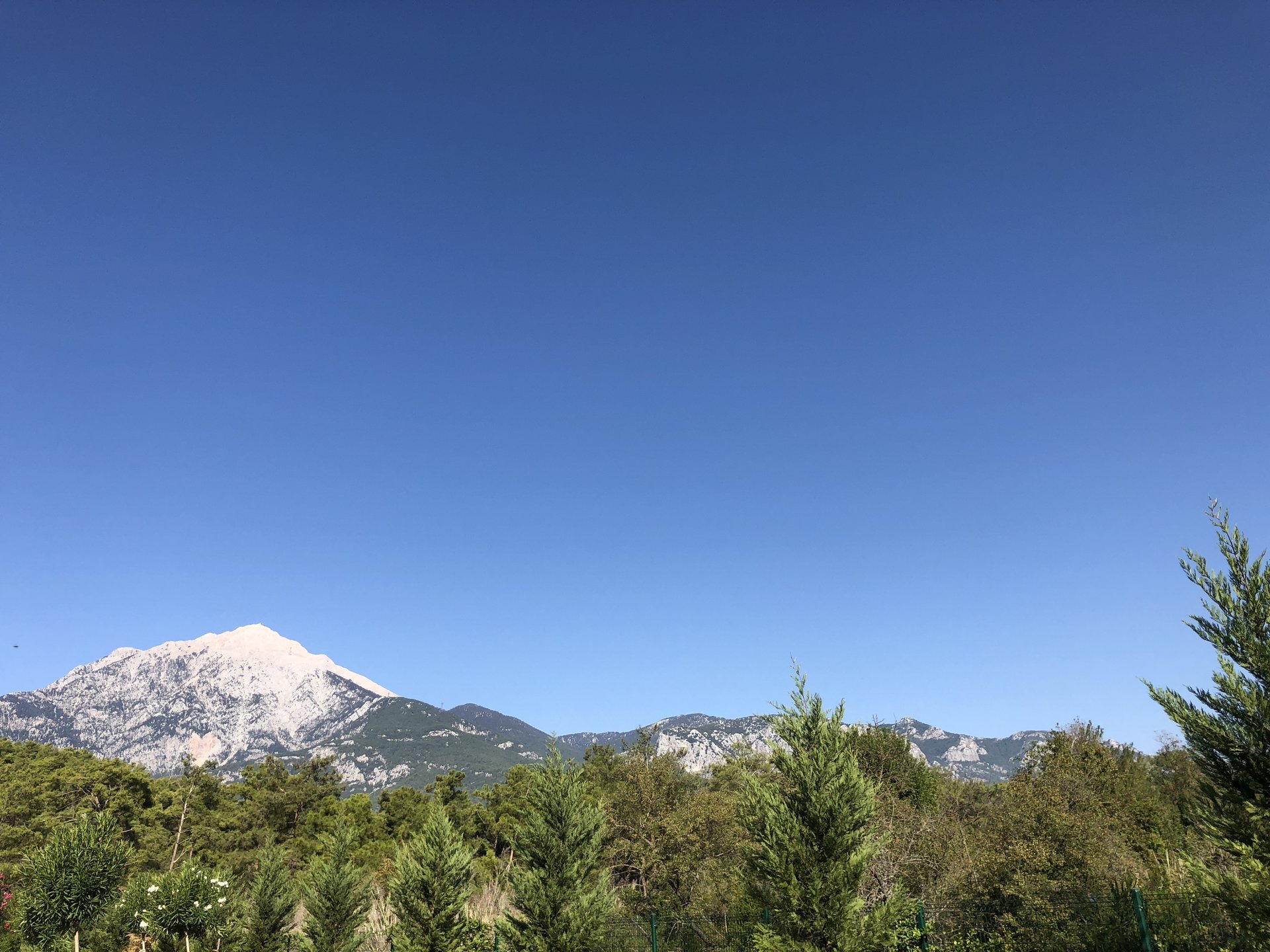 24BA8FAF-5B69-4705-85AA-687FE5881237.jpeg