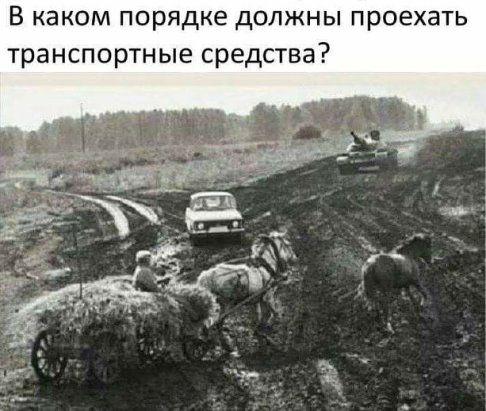 295F9262-81C9-41C8-83B1-ADBA928905FB.jpeg