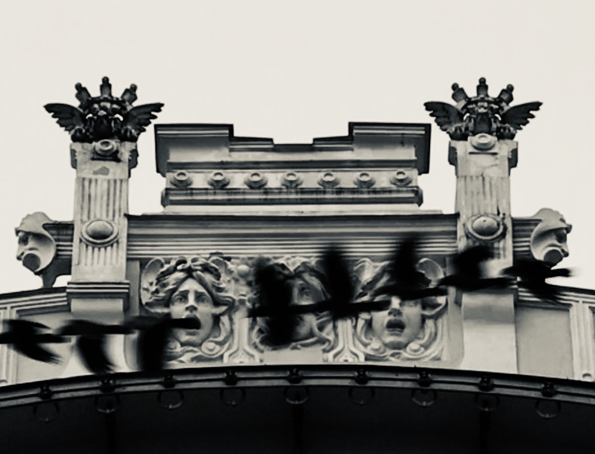 364B9692-5EF4-4DDA-B06B-F9B0BF45AA42.jpeg