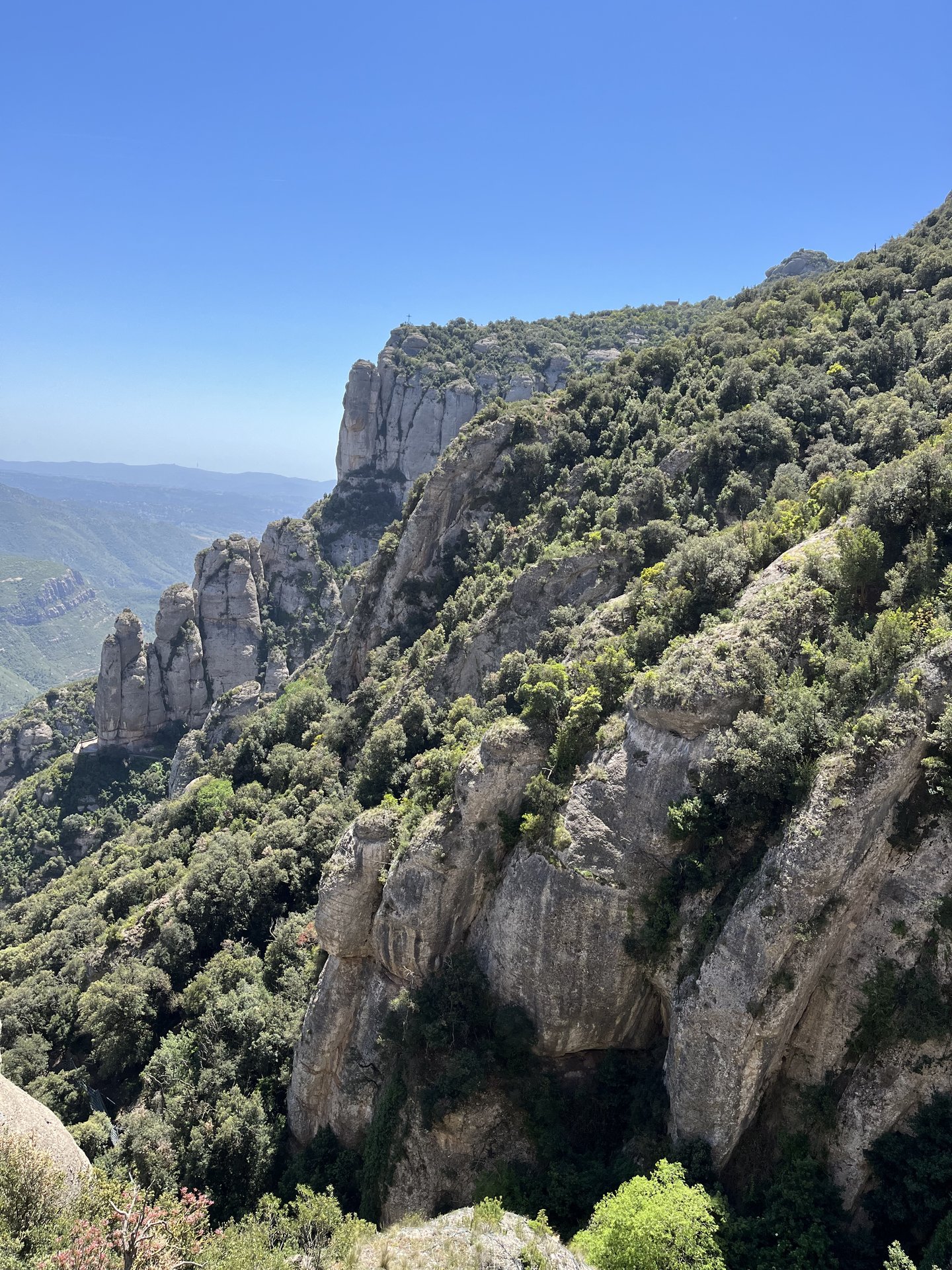 3E78808E-A08A-46DF-9008-3A3A21F32D1B.jpeg