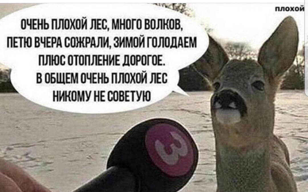 438713222_91124.jpg