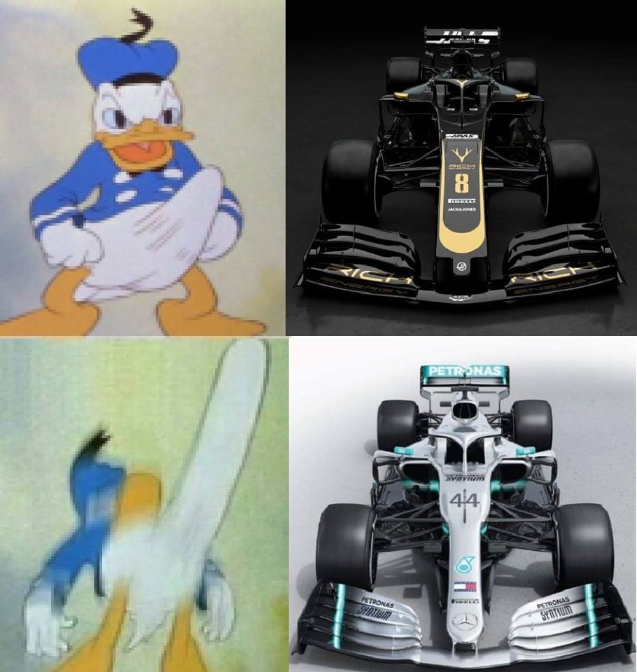 51765953_1462507260546898_5749563446597255168_n.jpg