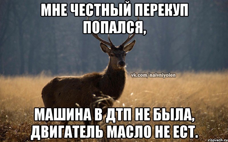 55EAF2D7-7966-4C56-B139-83A9ACC706F6.jpeg