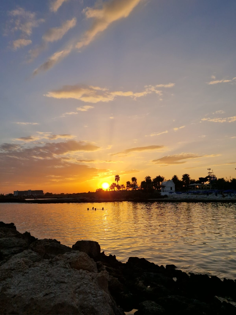 6a65768d-29cf-4fc1-8e26-ed162d370b6d.jpeg
