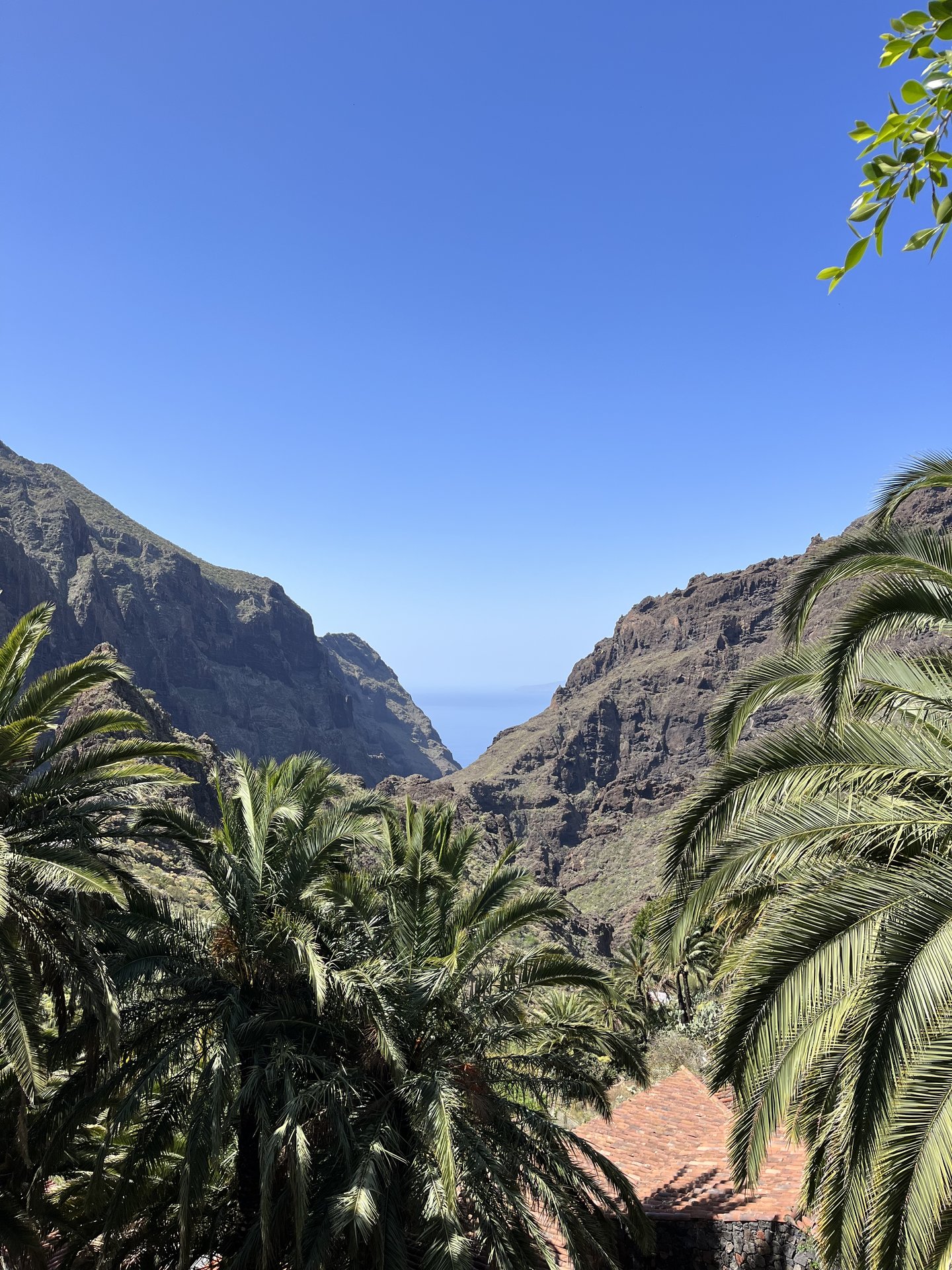 7F013B34-578C-477F-86B6-21A7DED738DE.jpeg