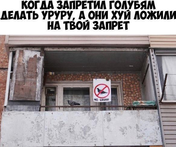 83DD8E67-BE5E-4B6D-955C-ECA39D49089F.jpeg