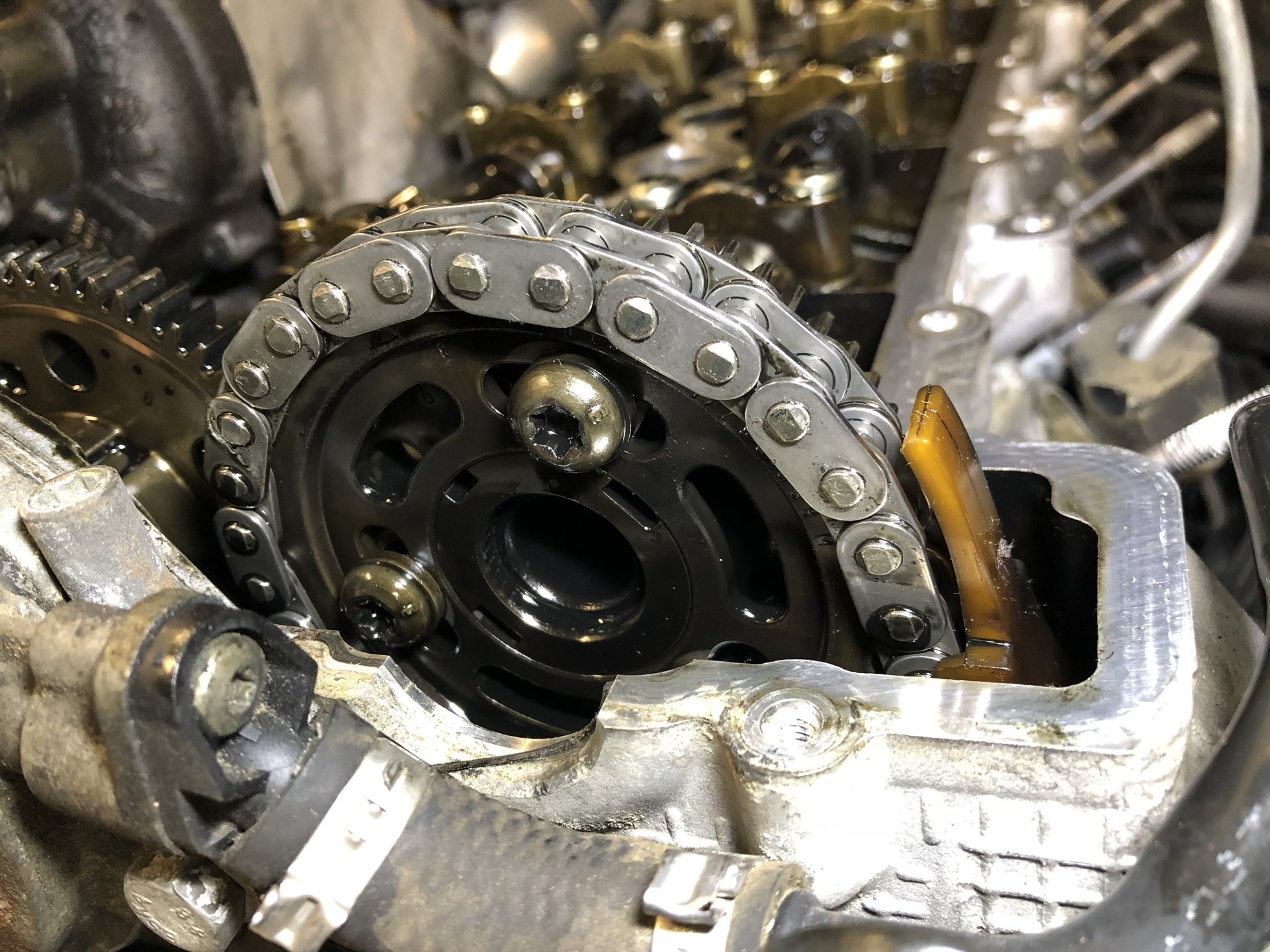 96FB09BD-D8E4-44F6-BFF8-BA8571B05181.jpeg