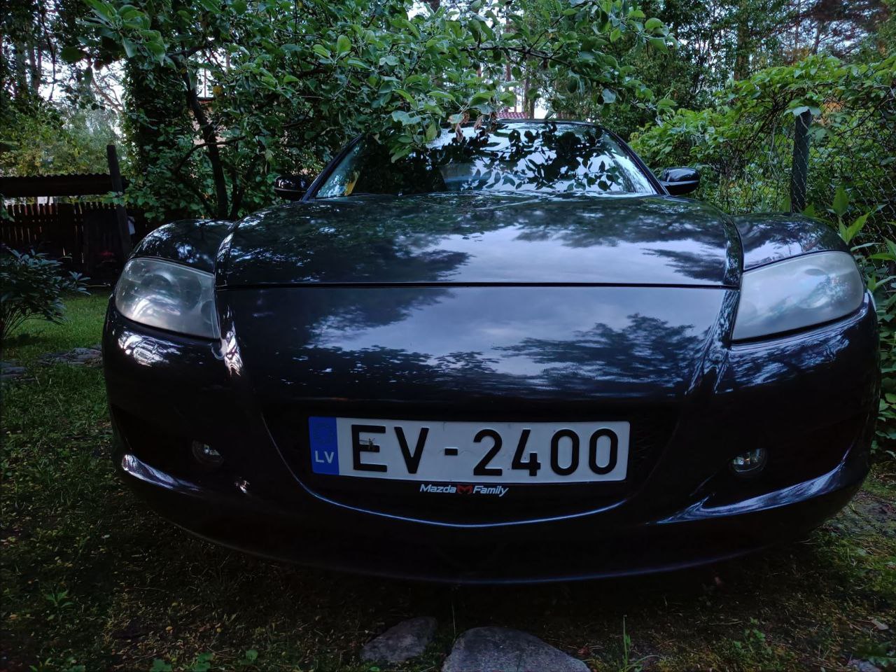 ae36e401-4d14-40a0-9503-96ef6154501b.jpg