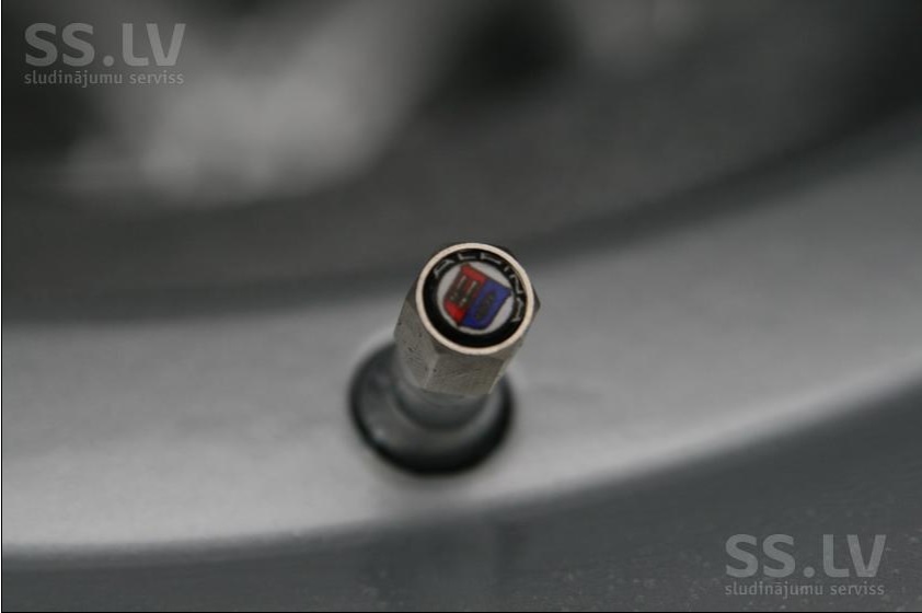 alpina2.jpg