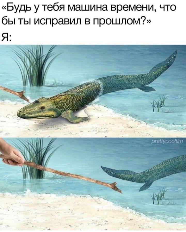 DB34BF9E-0AC7-4824-9153-9FE451C911D1.jpeg