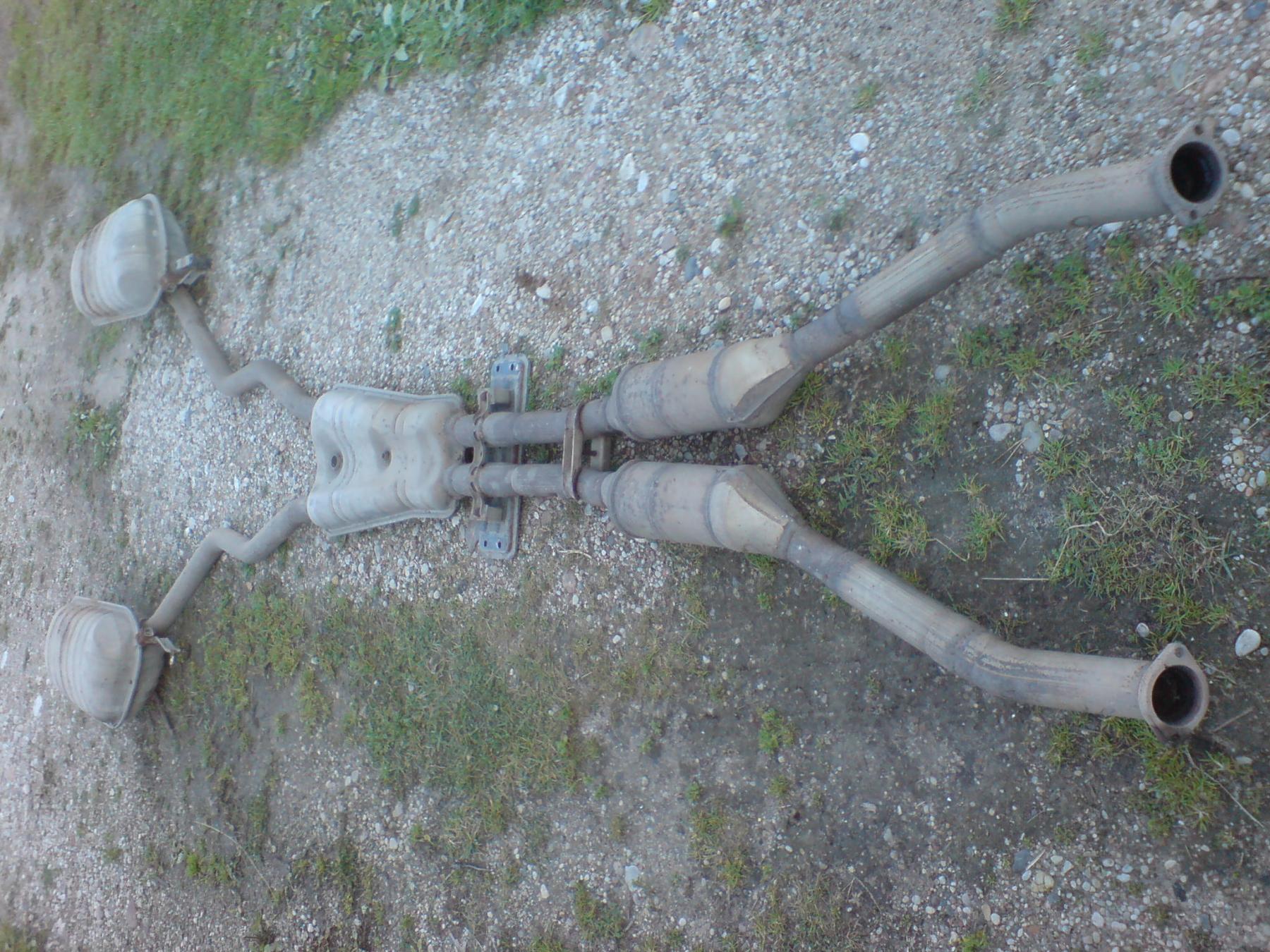 DSC00016.jpg
