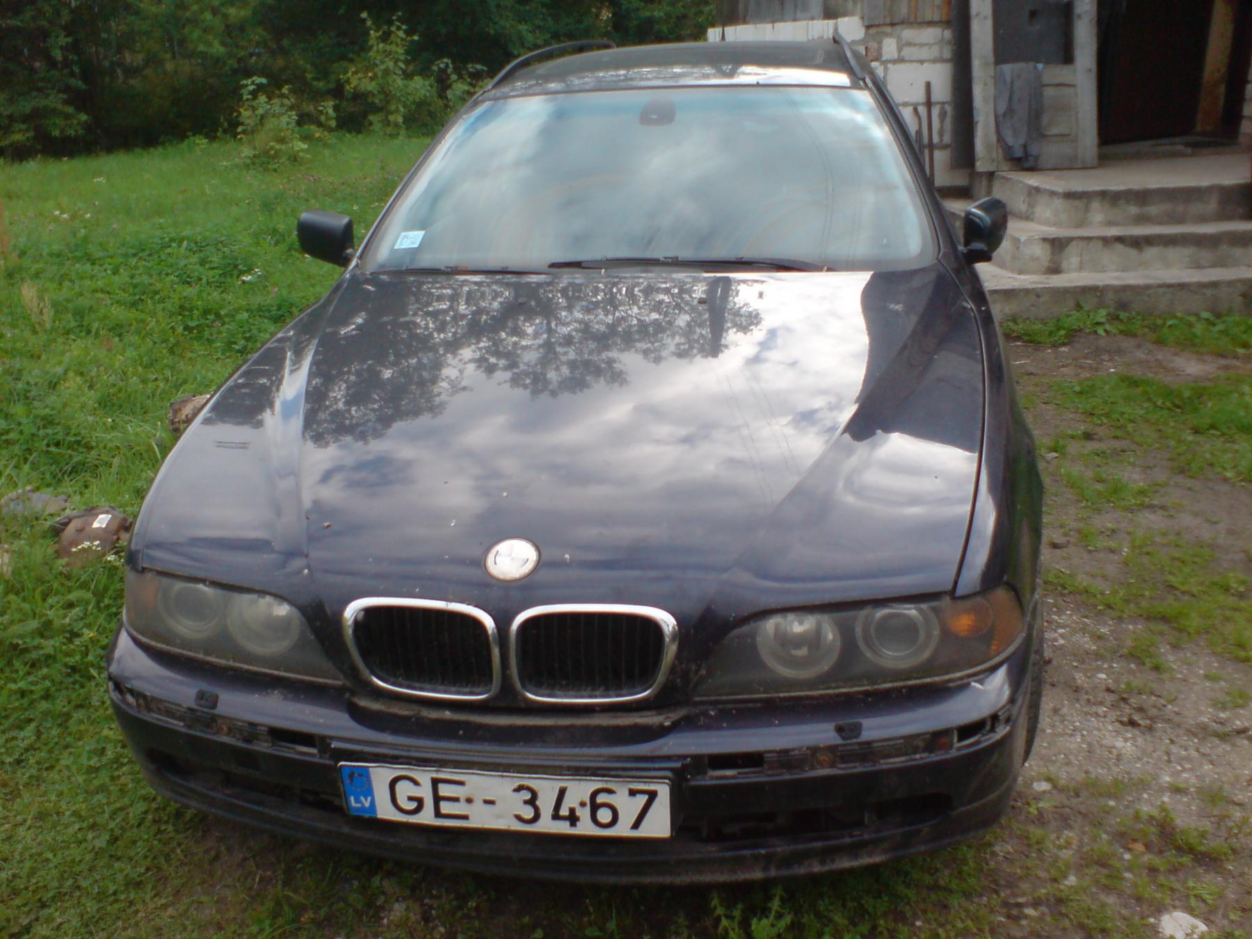 DSC00019.jpg