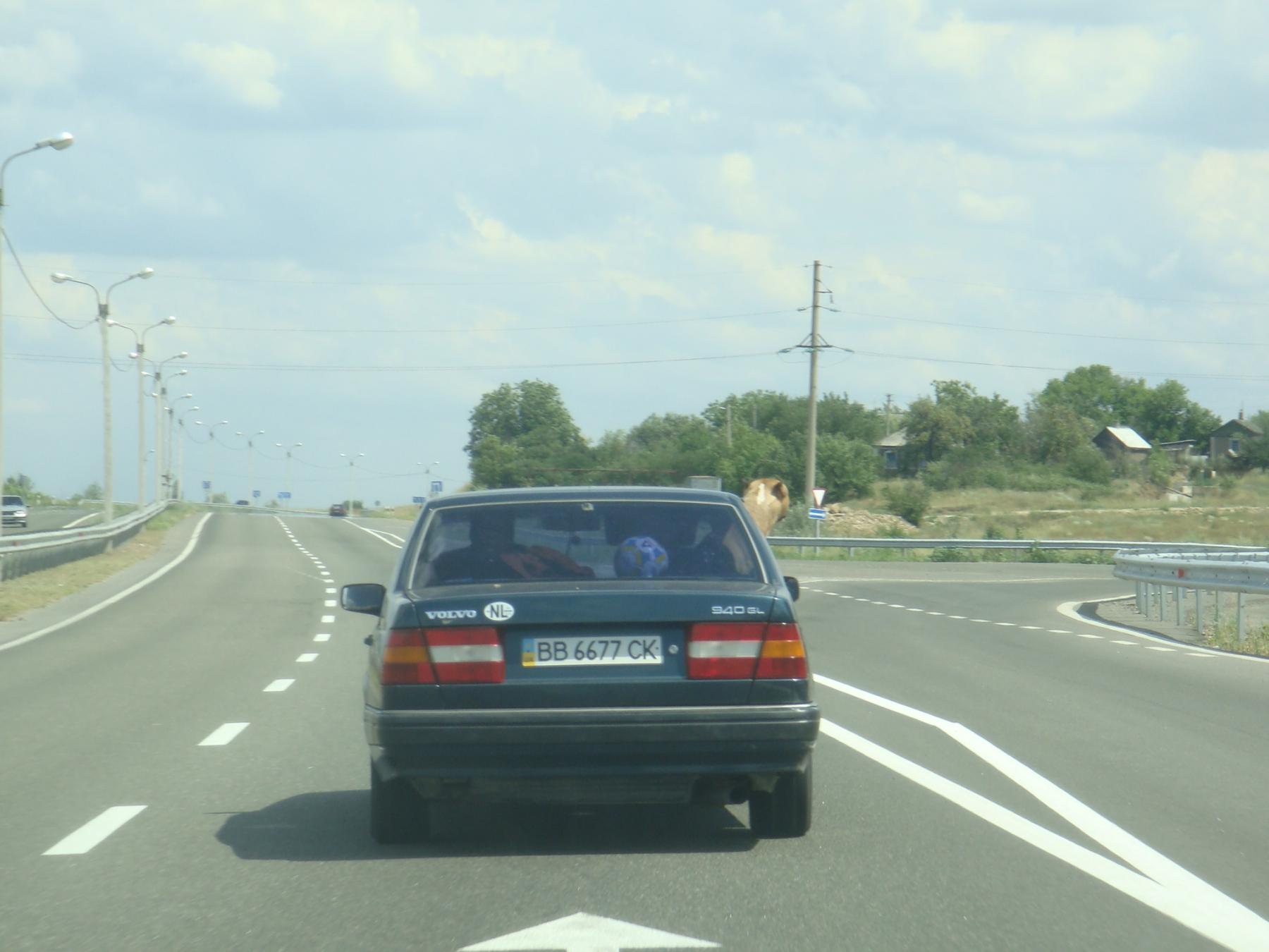 DSC05130.jpg